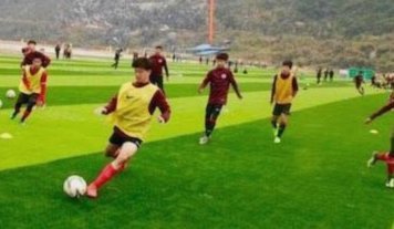 这中甲比赛绝了！来看看延边主场这草坪的情况