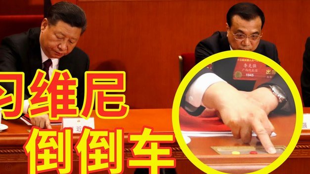 董老师的粉丝其实都是一群三无群体