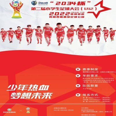 嗨球少年为何缺席2034杯？
