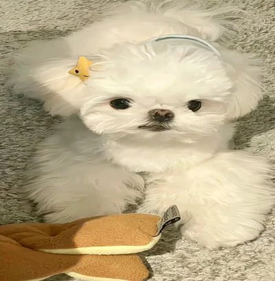 小王销号一个月后的ins照片，背影耐人寻味