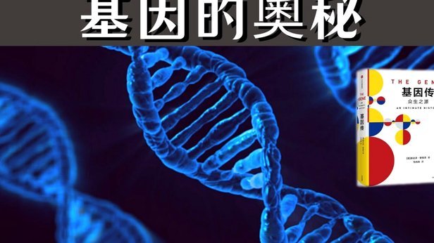 因凡蒂诺的基本盘 其实稳得很