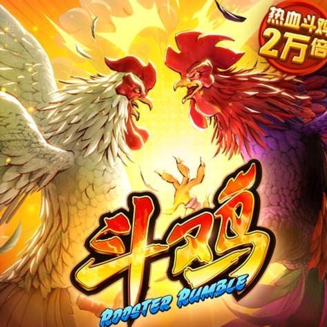 马卡：罗德里加盟无望，预计B席在皇马将承担更重要角色