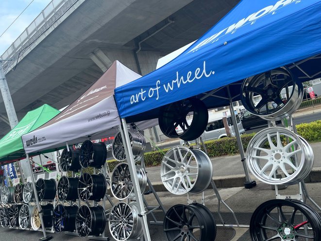 甘慧：受台风影响申花滞留青岛，将留青恢复并找场地训练