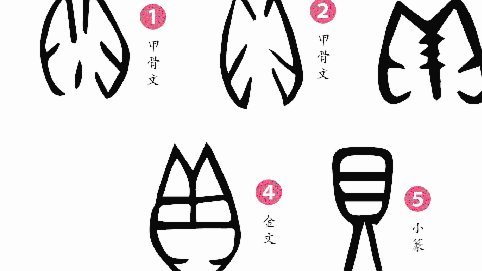 贝林厄姆摸腿道歉引热议